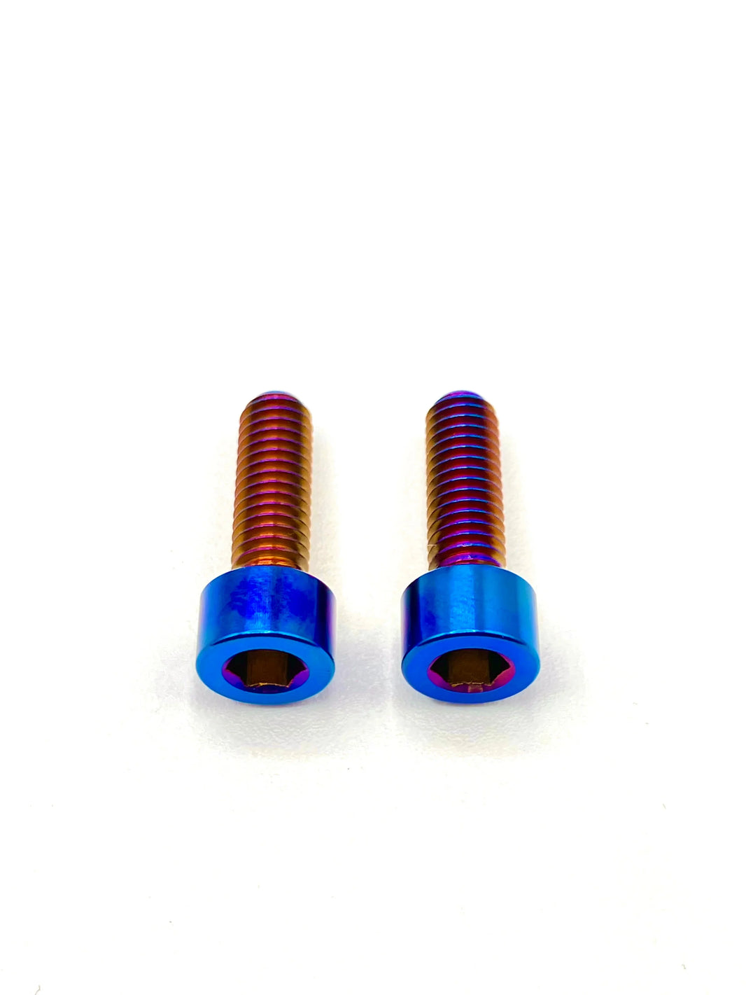Titanium Brake Caliper Bolts EV Warehouse