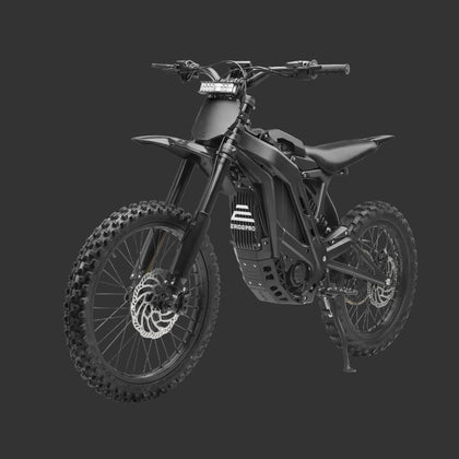 E-Ride Pro SS 2.0