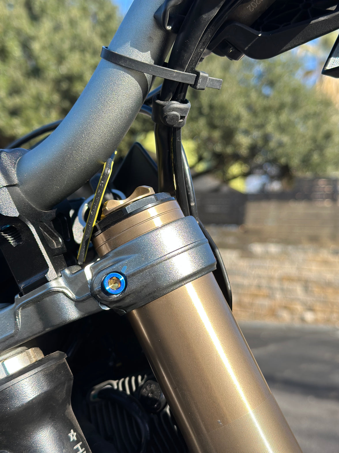 Titanium Triple Clamp Bolts  - Surron Ultra Bee