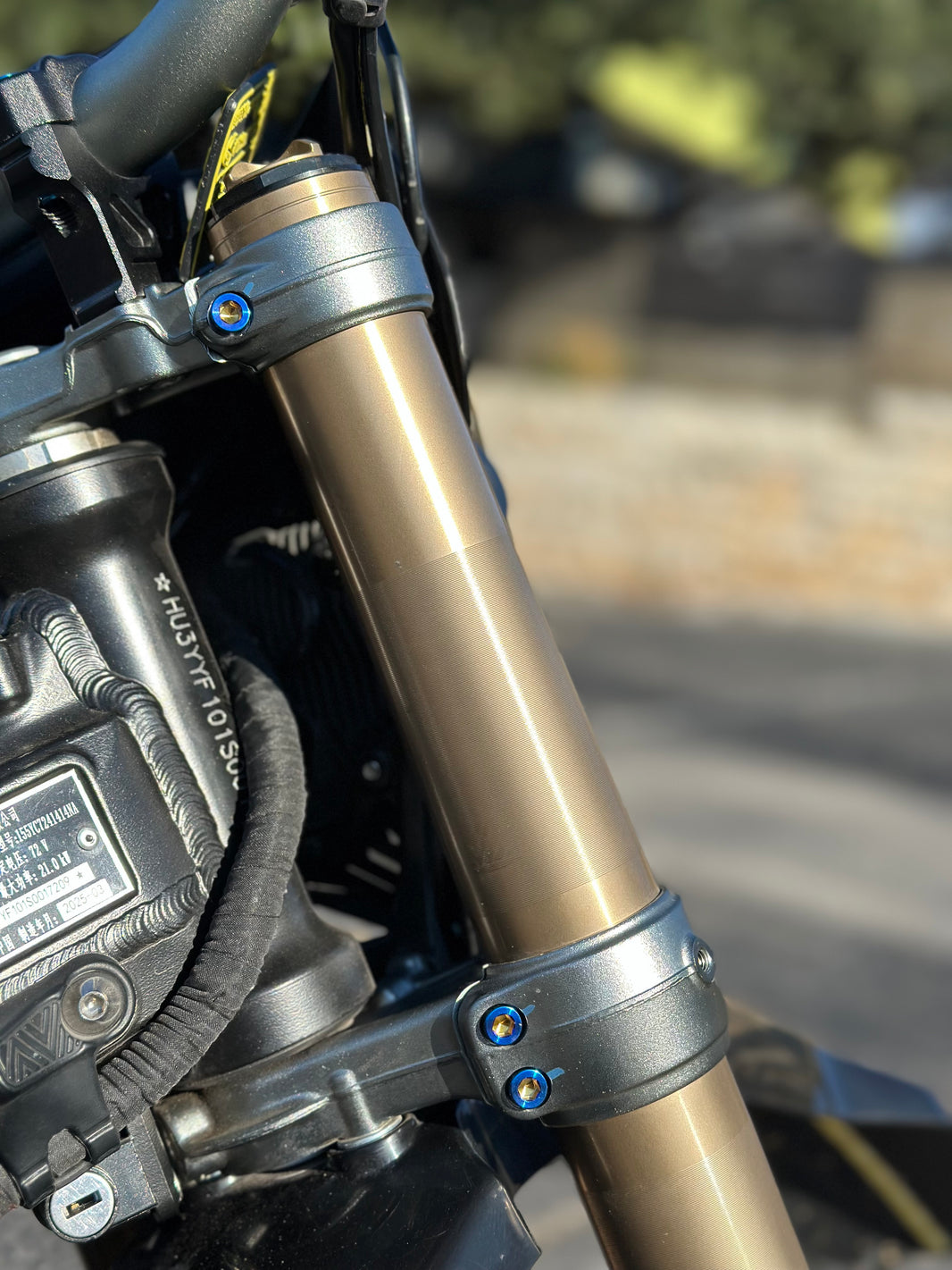 Titanium Triple Clamp Bolts  - Surron Ultra Bee