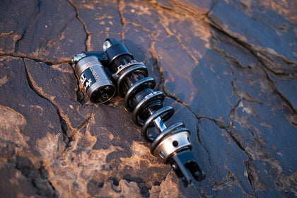 EXT REA MX Ultra Bee