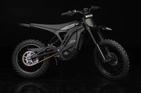 E-Ride Pro SR