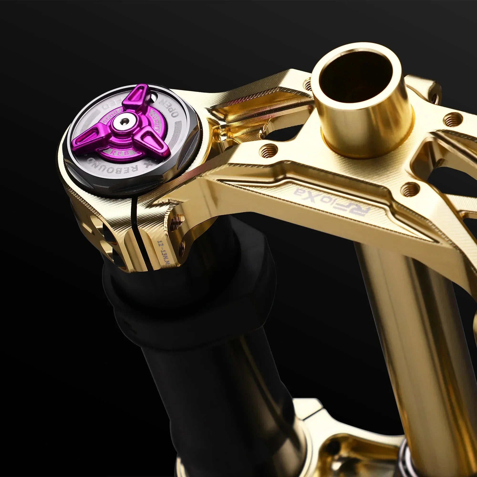 RFloXa Hawk31 Max Forks (Gold) - Surron | Talaria | E-Ride Pro | Altis |Rawr | 79 Bike | Ventus