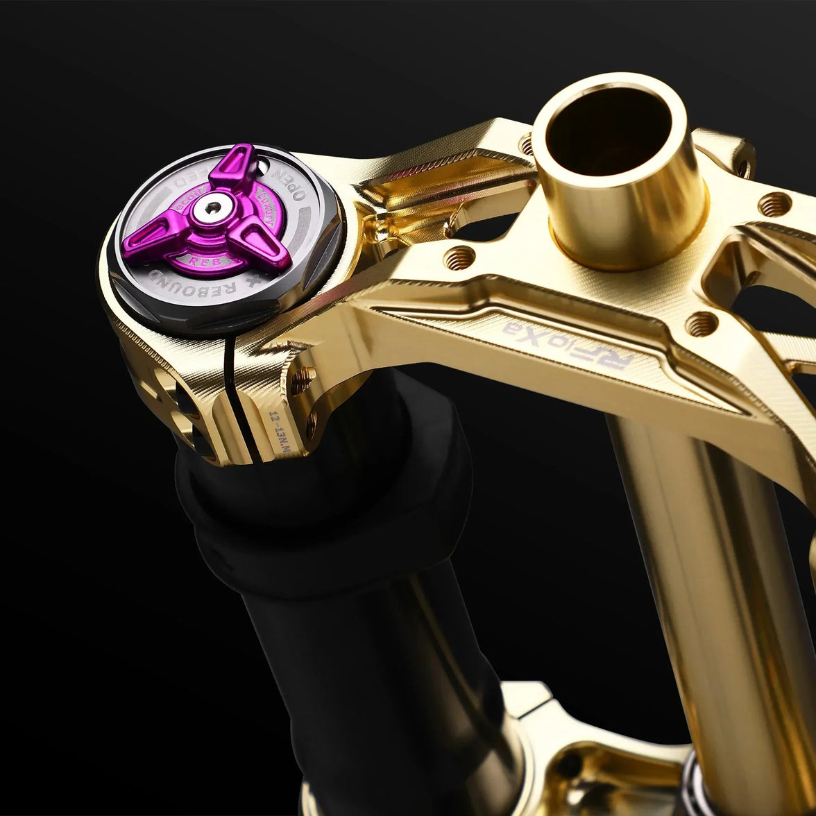 RFloXa Hawk31 Max Forks (Gold) - Surron | Talaria | E-Ride Pro | Altis |Rawr | 79 Bike | Ventus